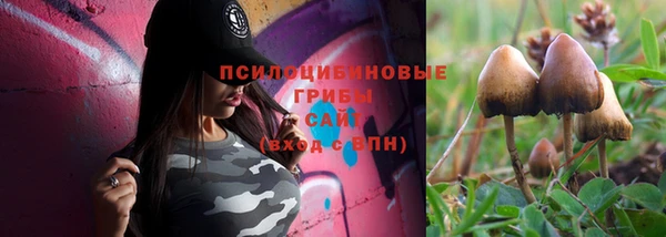 не бодяженный Алзамай