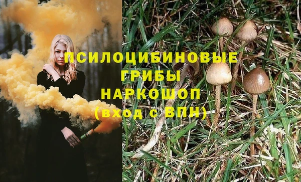 не бодяженный Алзамай