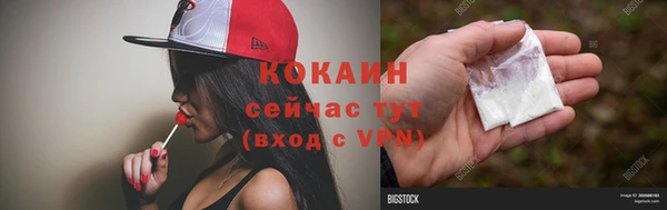 индика Медвежьегорск