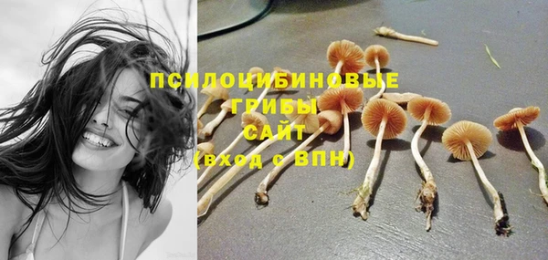 скорость Алексин