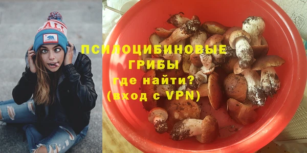 скорость Алексин