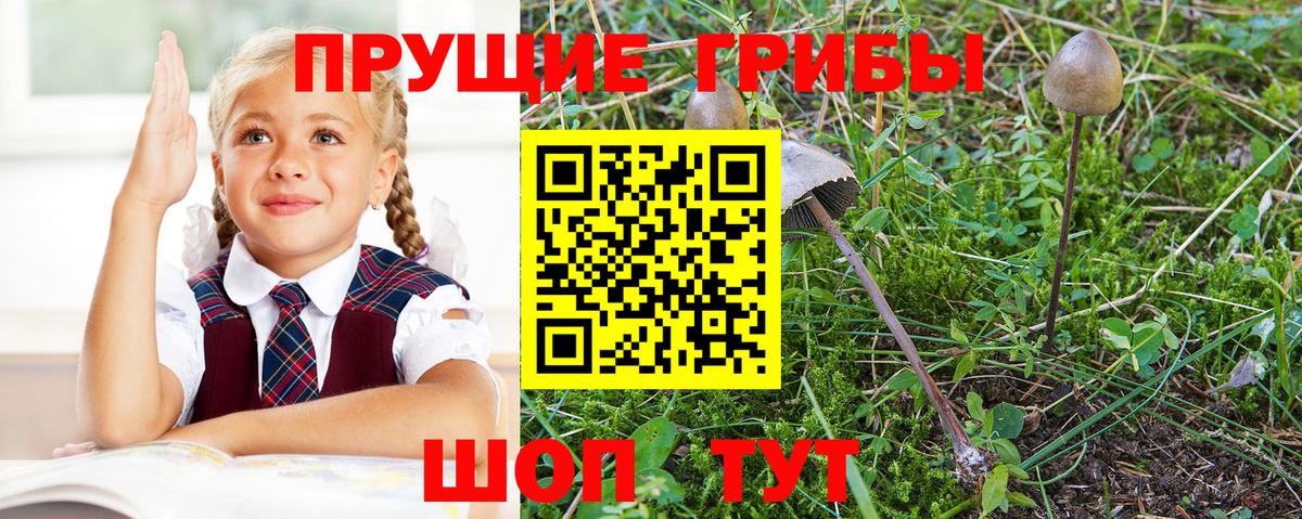 Галлюциногенные грибы мицелий Светлоград