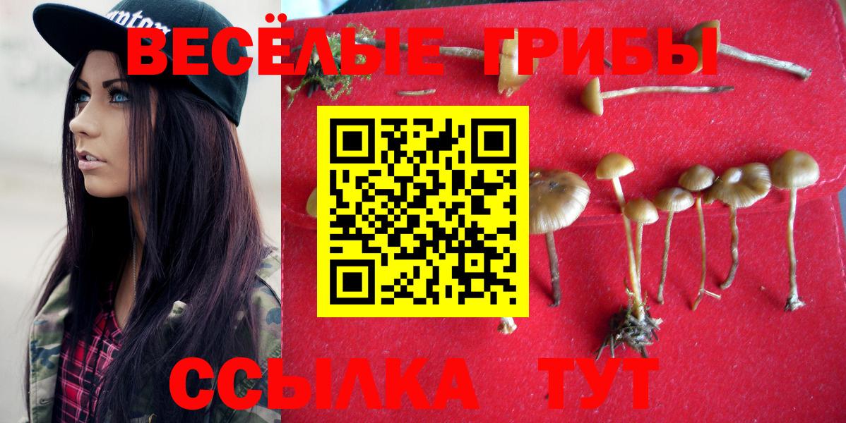 Светлоград  Галлюциногенные грибы Psilocybine cubensis  Вход с VPN  Галлюциногенные грибы мицелий 